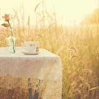 少女复活了一只千年巨狼,打败了宇宙之神,开始