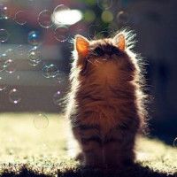 这才是真正的98K手势舞