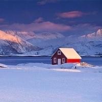 四星转五星软件直选万能码视频教程真真教你