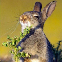 新出的情歌,真好听《我愿与你相伴一生》!