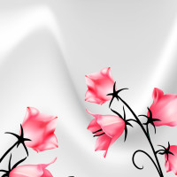 爱情睡醒了:项天骐沐之晴大婚,项天骐丢下沐之