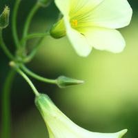 二世狼帝要进入异世修炼神功,在异世里看到了