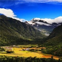 这就是大厂性价比?vivoZ1对比vivoZ3