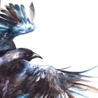 创业时代:前男友来硬的,baby施展女子防身术