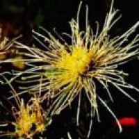 这帮青春美少女太有创意了,歌曲串烧把鞋都跳