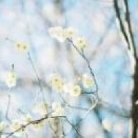 LOL:武器vs剑圣,六神装之战