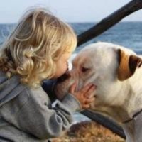 LOL王稳健公开谈直播平台欠薪事件,称全民忽