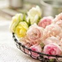 现在就告白:女主播爱上粉丝,打开告白之门却痛