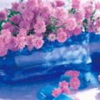 创造101:唱《逆光》李紫婷高音不服不行,十分