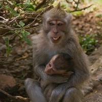 小品:刘能前去修电脑,美女却把电脑拿去修了,太