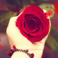 少儿早教学英语和颜色,自卸货车停车场