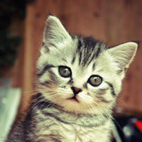 足球技巧教学姆巴佩常用的五个变向过人技巧,