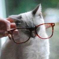 王凯再度开唱,与徐静蕾深情对唱《滚滚红尘》