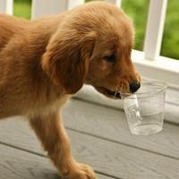 美女洗澡时一只巨毒蜘蛛跳到她身上,险些丧命