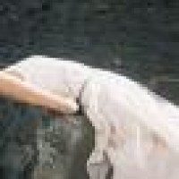 汪汪队立大功:阿波罗有危险,汪汪队全体出动前