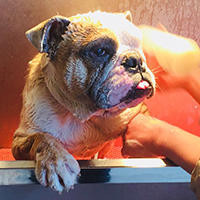 岁女子暴露保养秘籍居然是每天喝一杯百香果蜂