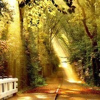 故意把老婆来电铃声设置成危险警报