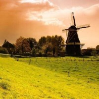 这舞蹈最近突然火了,长腿妹子跳《学猫叫》