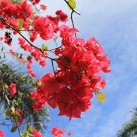 猎毒人吴秀波拍摄花絮,男神认真拍戏的样子好