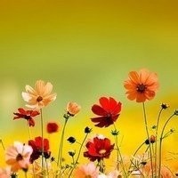 大神操作了解一下?学会这个秒换三装的技能,你