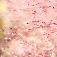 回顾08北京奥运会男篮决赛,美国队vs西班牙,十