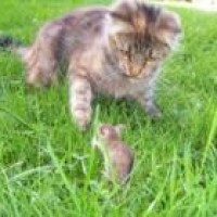 这绝对是亲父女俩,连打嗝都是一致的,看完笑的