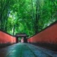 儿媳不想养继子,婆婆一发话,儿媳妇立马认怂!