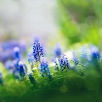 每天10分钟,除斑有妙招,几天就白了,感觉回家试