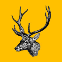 十部关于华尔街金融的电影和纪录片