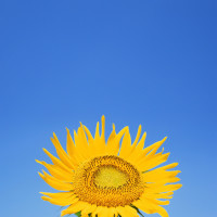 花季、雨季的年龄是什么?导演质问林志颖:你唱