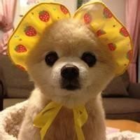 摩登兄弟宁哥直播,澄清关于自己被打的传闻