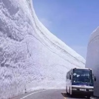 《灵镜传奇》天雪的生命即将走到尽头,恳求月