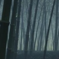 小伙爱借钱不还,逼着女友不买化妆品为自己还