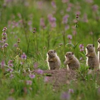 真的超丑的,杨丞琳回放演唱会脚抽筋的那一刻