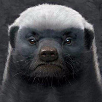 渣男不管高矮胖瘦一年交10多个女友,赵川:你可