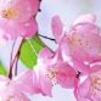 机场偶遇明星佟丽娅,特别配合的拍视频,好激动