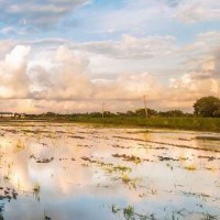 三星赔给苹果15亿,看韩国人抄袭是上瘾了!