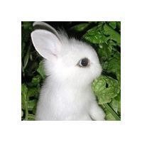 受不了女友爱撒娇要分手,涂磊再现经典语录,劝