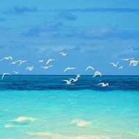 电视剧《一千零一夜》花絮来啦,迪丽热巴幕后