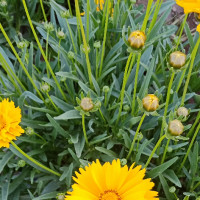 王者荣耀排位新规定 被猪队友坑了补偿勇者积