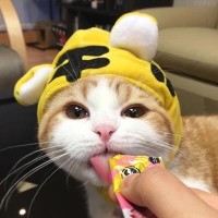 扶摇:长孙无忌被扶摇一招控制,看谁的套路深