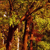 8步广场舞《爱了你那么久》好听好看有分解,初