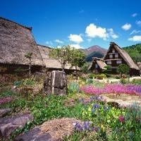 三生三世: 凤九断尾以执念化为法器,只为三生石