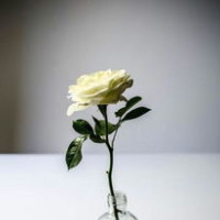 好玩的棉花泥,制作方法超级简单,一起来动手制