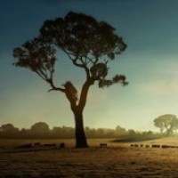 《偶像练习生》蔡徐坤深情演唱韩国歌曲,一开