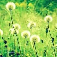 幼儿园律动舞蹈儿歌《三字经》