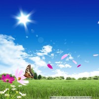 徐善云悲情演唱《不忘阶级苦》唱的太到位了,