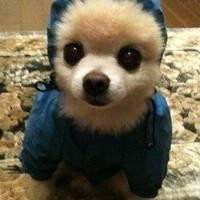 黄晓明把血滴子挂手机上,周围女生捂嘴偷笑