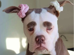 娱乐搞笑大杂烩最新文章