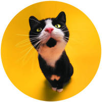 NBA得分王天勾贾巴尔十佳球,一记天勾永流传